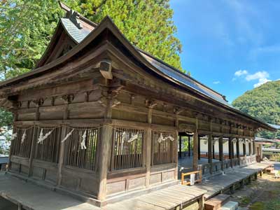 藤森照信遠足